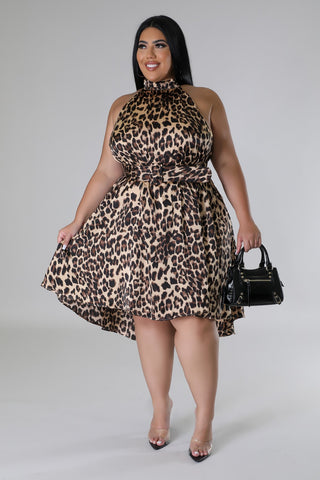 Cheetah Babe Dress