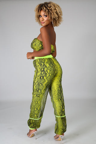 Snake Sheer Pant Set