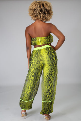 Snake Sheer Pant Set