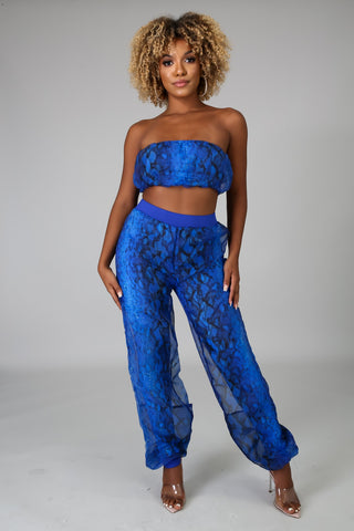 Snake Sheer Pant Set