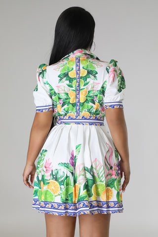 Tropical Brunches Dress