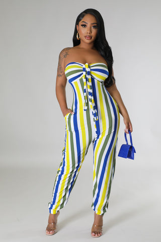 Picnics In Paradise Jumpsuit