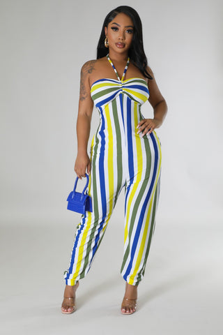 Picnics In Paradise Jumpsuit